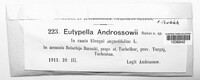 Image of Eutypella androssowii